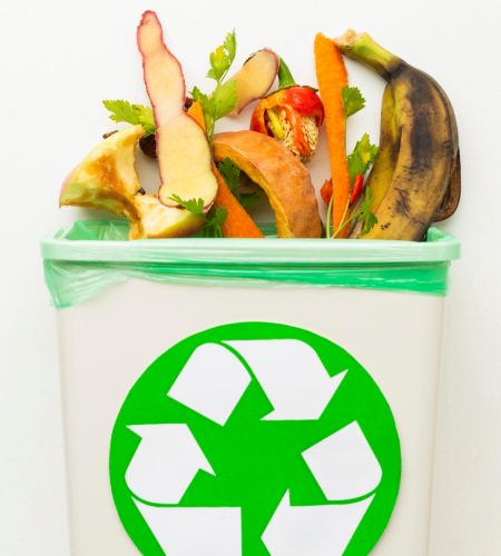 leftover-food-waste-in-recycle-bin