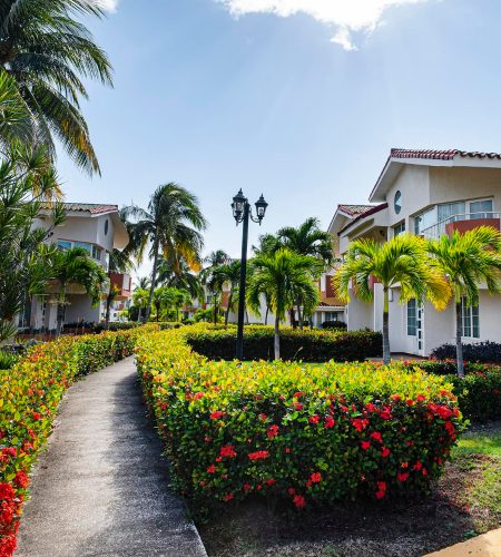 path-between-the-houses-in-the-garden-landscape-design